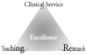 learning-triangle